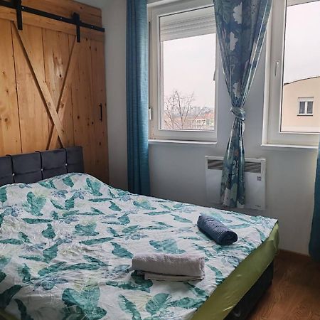 Spa Apartment Yang - Hot Tub, Sauna, Spa Novi Sad Extérieur photo